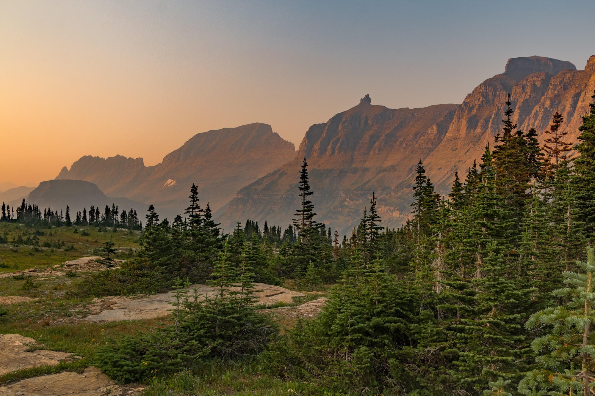 The Forest Hiker{i+1}